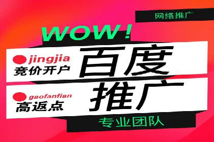 SEM网络推广案例：打造行业影响力品牌